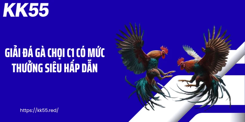 Giải đá gà chọi C1 có mức thưởng siêu hấp dẫn