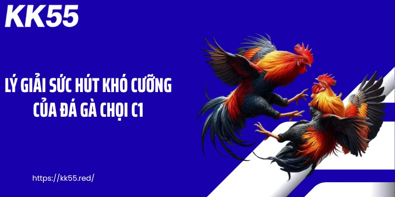 Lý giải sức hút khó cưỡng của đá gà chọi C1